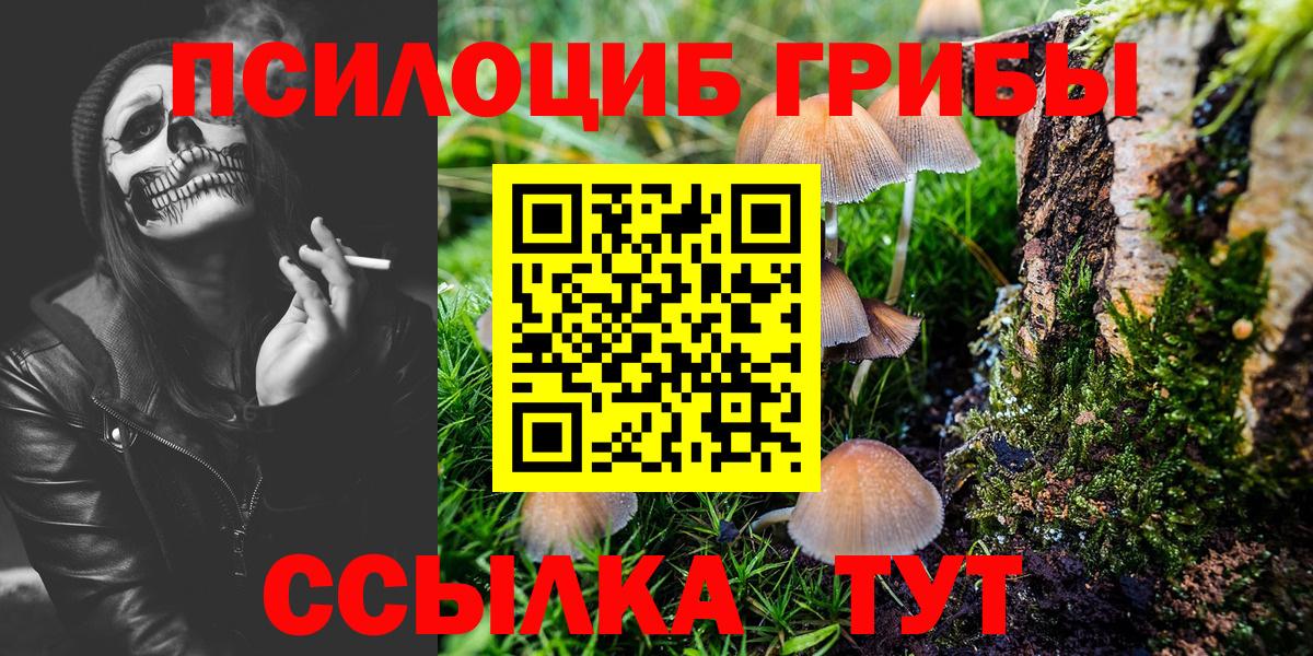 Псилоцибиновые грибы мухоморы Новочеркасск
